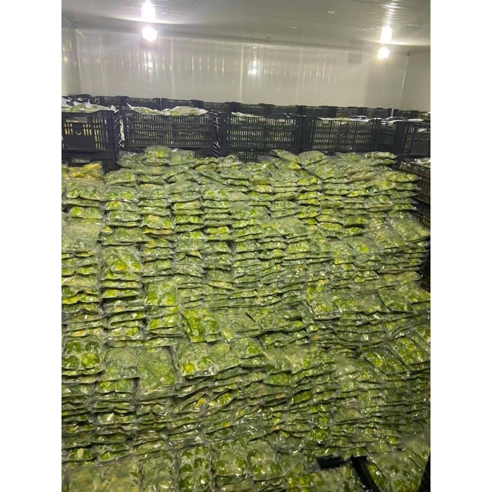 Chỉ ship HÀ NÔI _ Bơ cấp đông chia COST sẵn cho quán cafe, sinh tố