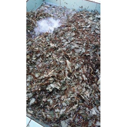 Cao hà thủ ô đỏ 100% nguyên chất lọ 100gr Thiên Phúc việt