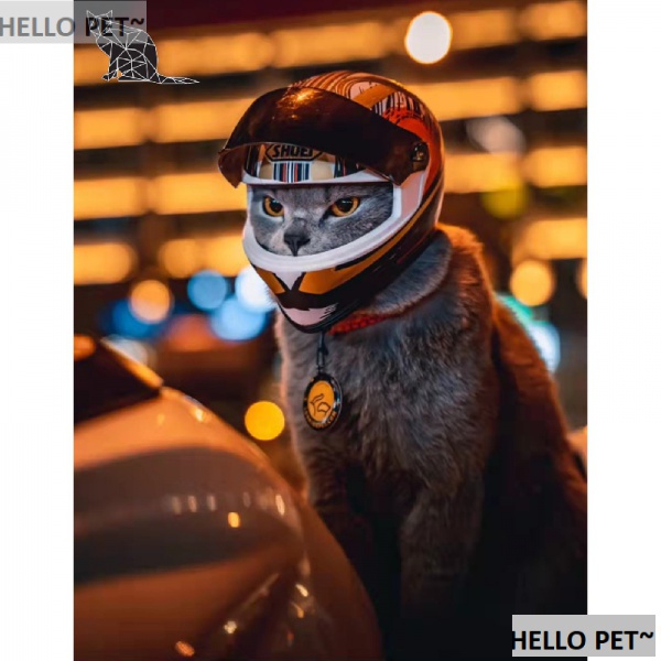 Mũ Bảo Hiểm Toàn Bộ Mũ Bảo Hiểm Phong Cách retro Cho Thú Cưng