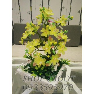 SET NGUYÊN LIỆU BÌNH HOA MAI