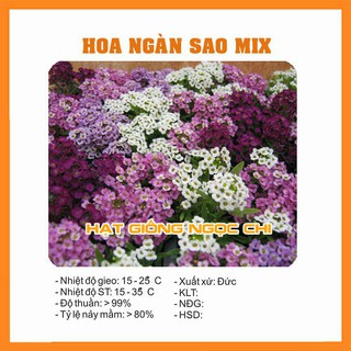 Hạt Giống Hoa Ngàn Sao Mix - 100 Hạt