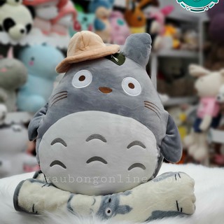 Gối mền - totoro pk