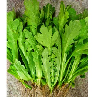 Hạt giống cải cúc nếp, rau tần ô (50g)