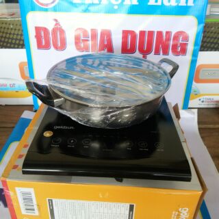 Bếp từ cảm ứng goldsun gi-t21