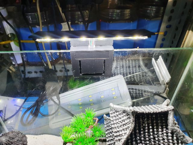 ĐÈN LED KẸP TRẮNG HỒ CÁ HỒ THỦY SINH 6W AQUARIUM CLIP LAMP