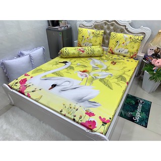Drap thun lạnh 5D cao cấp ( 3 màu)