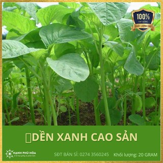 Hạt giống Rau Dền Xanh Cao Sản SV - 50g/Gói-Tỉ Lệ Nảy Mầm Cao, Thu Hoạch Quanh Năm, Ăn Ngon Ngọt, Tốt Cho Sức Khỏe
