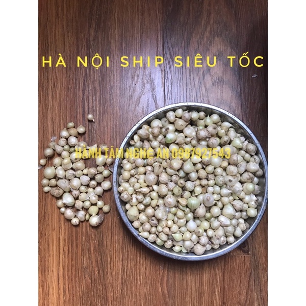 1kg Hành tăm 🧅 (củ nén) Nghệ An, của nhà trồng được bán rẻ cho mọi nhà dùng ạ <3 | BigBuy360 - bigbuy360.vn