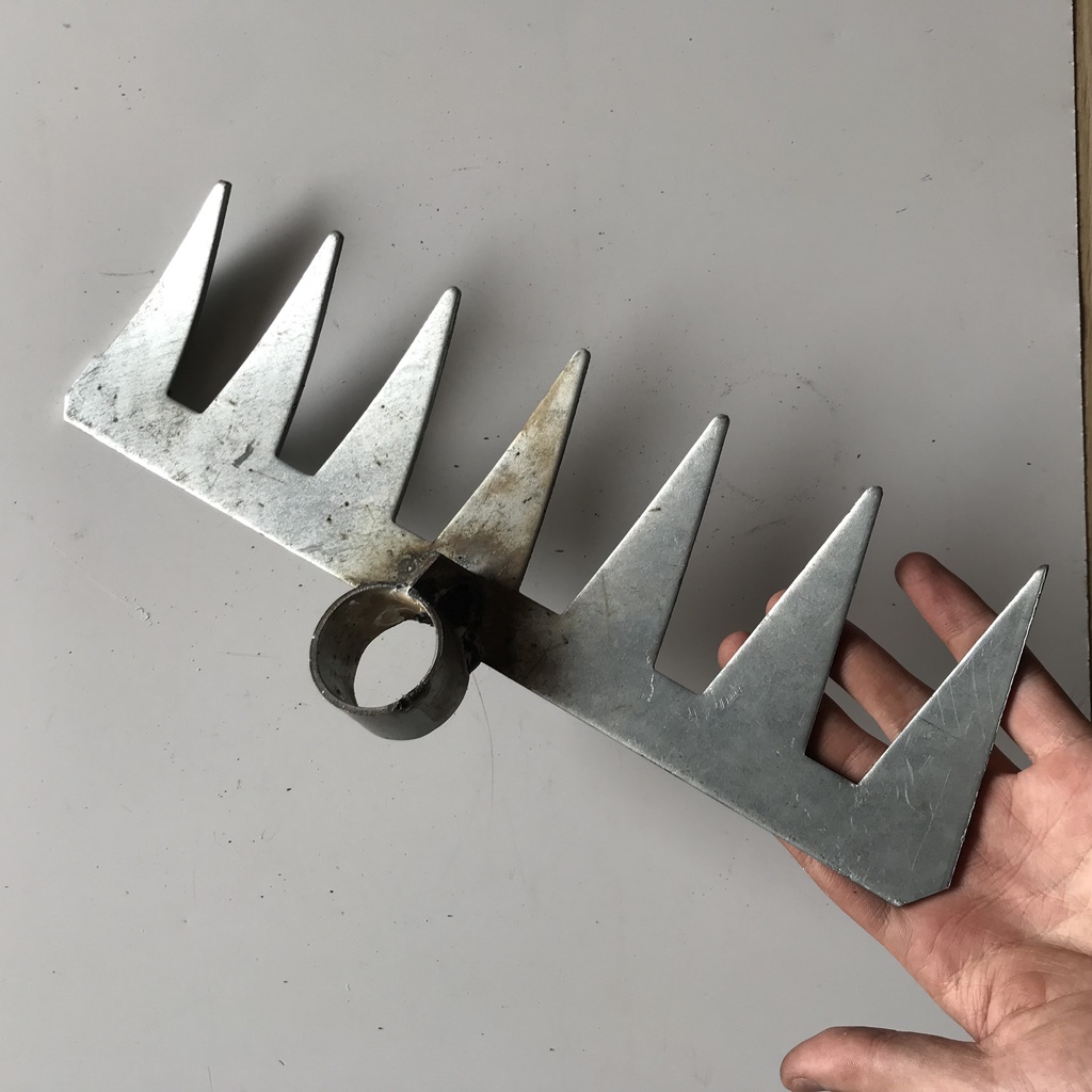 Bồ cào sắt bảy răng