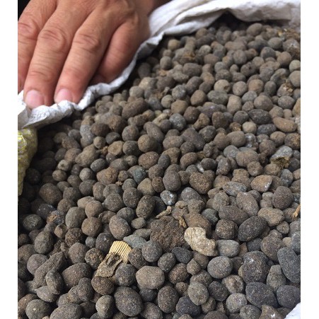 PHÂN TRÙNG QUẾ VIÊN NÉN ĐÃ QUA XỬ LÝ - 1KG
