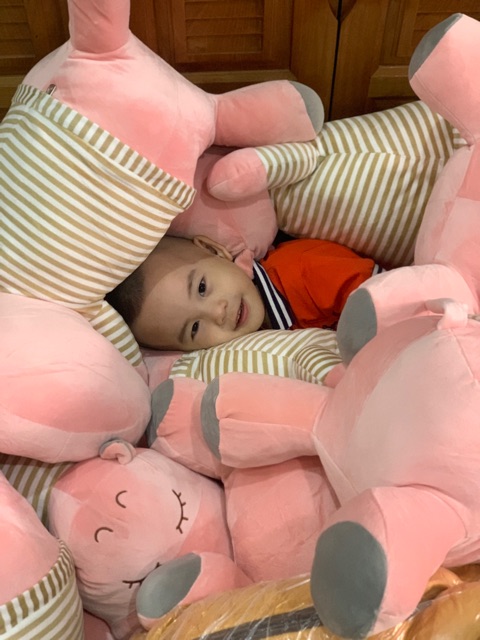 CHĂN GỐI 2 trong 1 hình thú siêu dễ thương