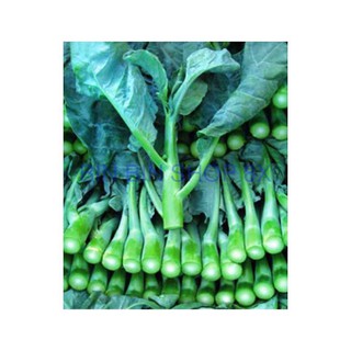 Hạt giống rau cải làn - 20 gr