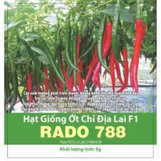 HẠT GIỐNG ỚT CHỈ ĐỊA RD788