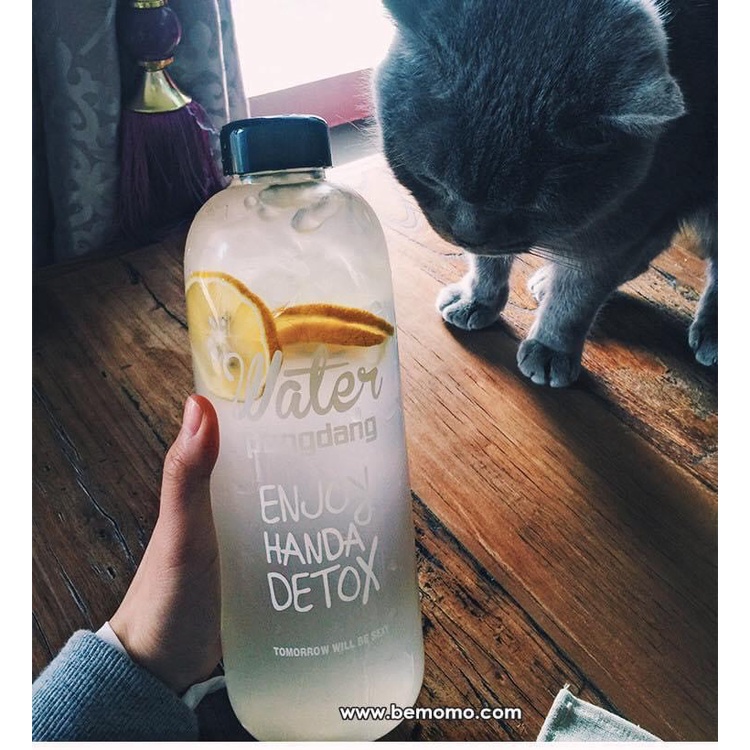 Bình nước detox 1l