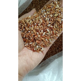 Gạo lứt dẻo Điện Biên