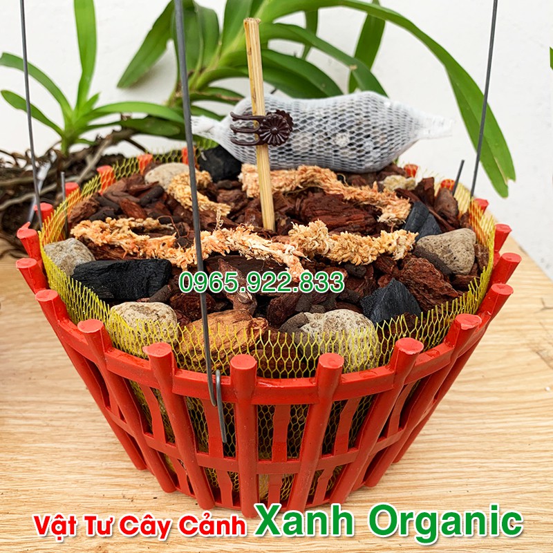 Chậu 20cm + Móc Treo + Giá thể trồng lan đầy đủ