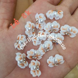 Hoa cúc ngang - hoa bột ôm móng