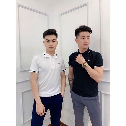 Áo POLO cổ viền | BigBuy360 - bigbuy360.vn