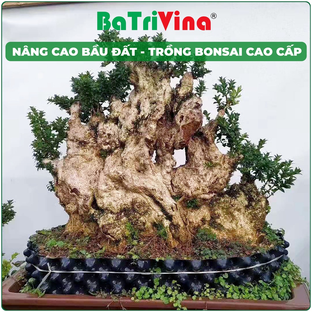 Combo 5 mét Bầu Nhựa Dưỡng Cây - Ươm Cây BoSaVina, Thoáng khí, thoát nước, bảo vệ bộ rễ, giúp cây phát triển khỏe mạnh