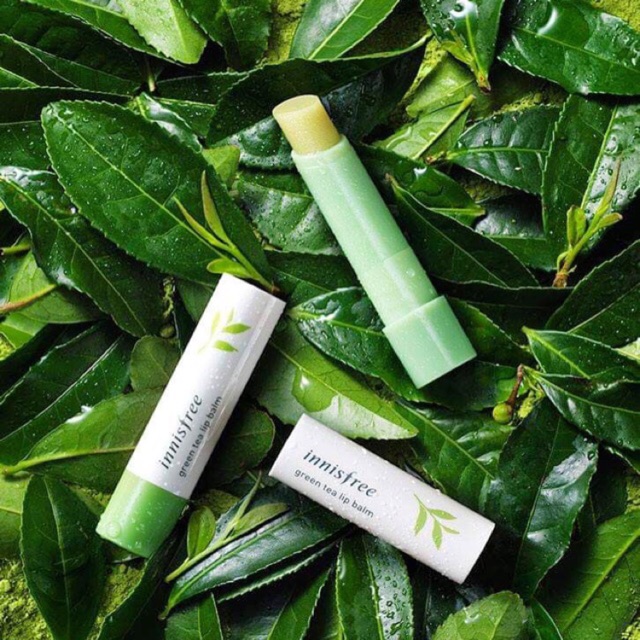 Son Dưỡng Môi Trà Xanh Innisfree Green Tea Lip Balm