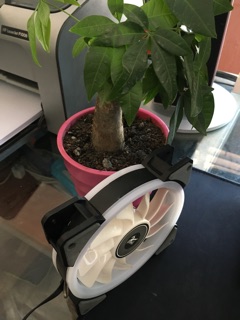 FAN TRANG TRÍ CASE RGB YTCOOL