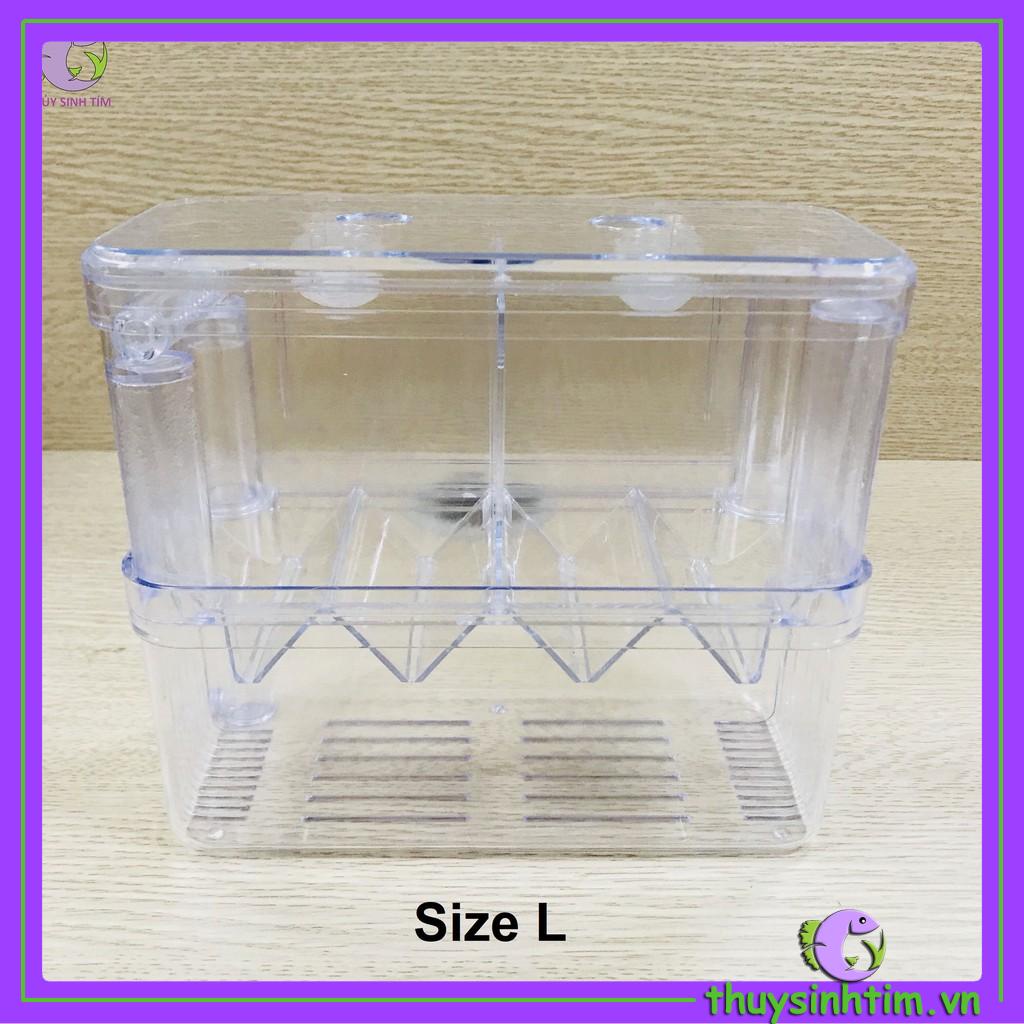 Lồng Đẻ Mica Nhiều Size Dành Cho Cá Cảnh