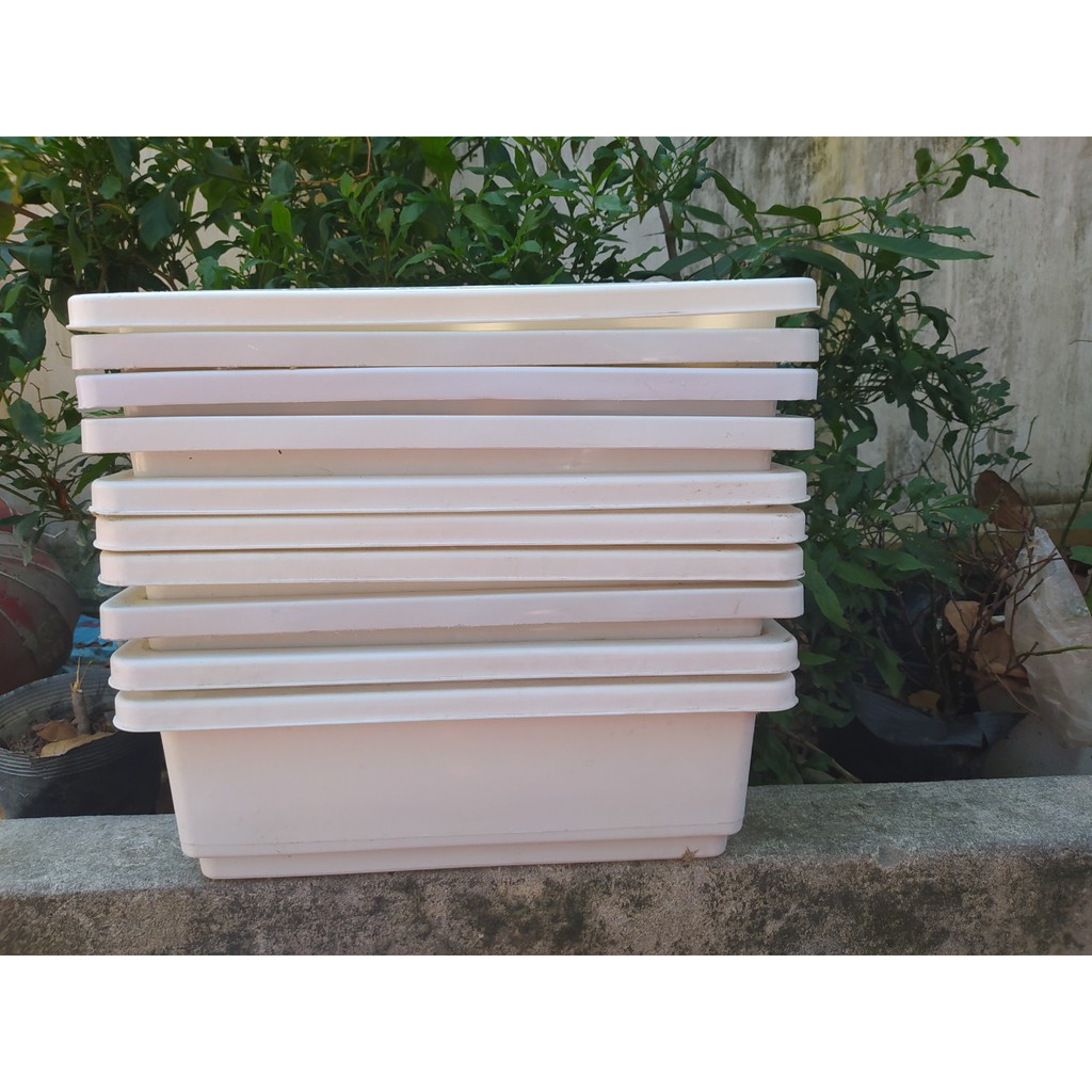 Thanh ly combo 10 chậu/khay trồng rau thông minh các màu 48x21xF16 cm