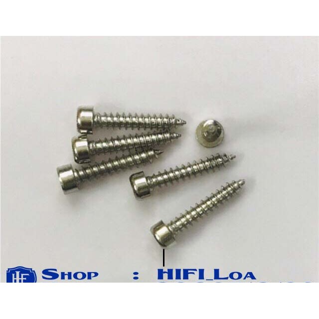 Vít đầu lục giác 3x15mm màu inox hàng đẹp