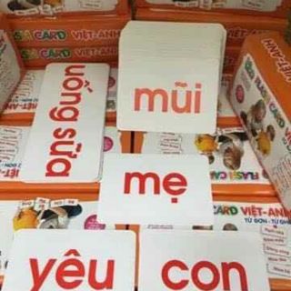 Flashcard 10 chủ đề khổ a5