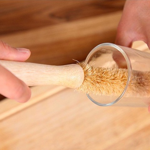 Cọ bình xơ dừa thân thiện môi trường có thể co duỗi được Ecobabo