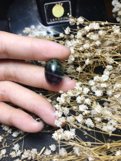 Lu thống florit sale 20-10