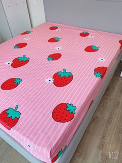 Ga chống thấm cotton Muso