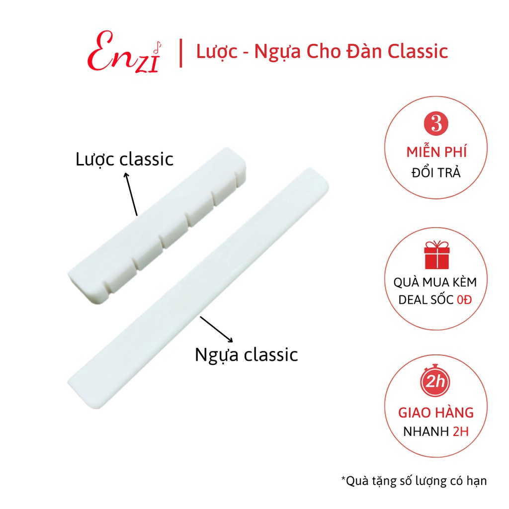 Lược và Ngựa đàn guitar acoustic, classic chất liệu nhựa và xương bò Enzi