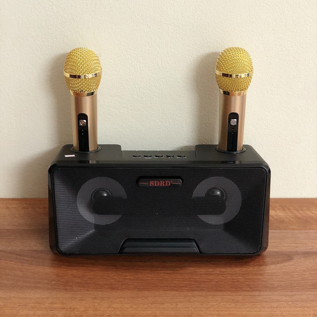 Loa Bluetooth Karaoke SDRD SD-301