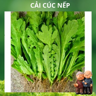 Hạt giống Cải Cúc 2500hạt ~20gram