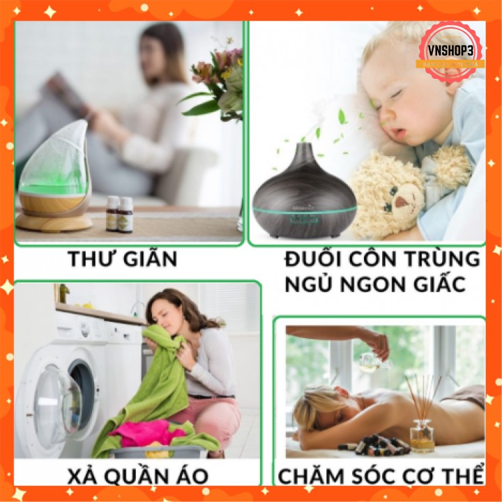 [FREESHIP] Tinh Dầu Hương Thảo Xông Mặt Trị Mụn Thơm Phòng Giảm Căng Thẳng Chăm Sóc Tóc Cải Thiện Trí Nhớ Khử Mùi 10ml