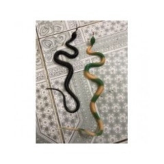 Rắn giả dài 50cm