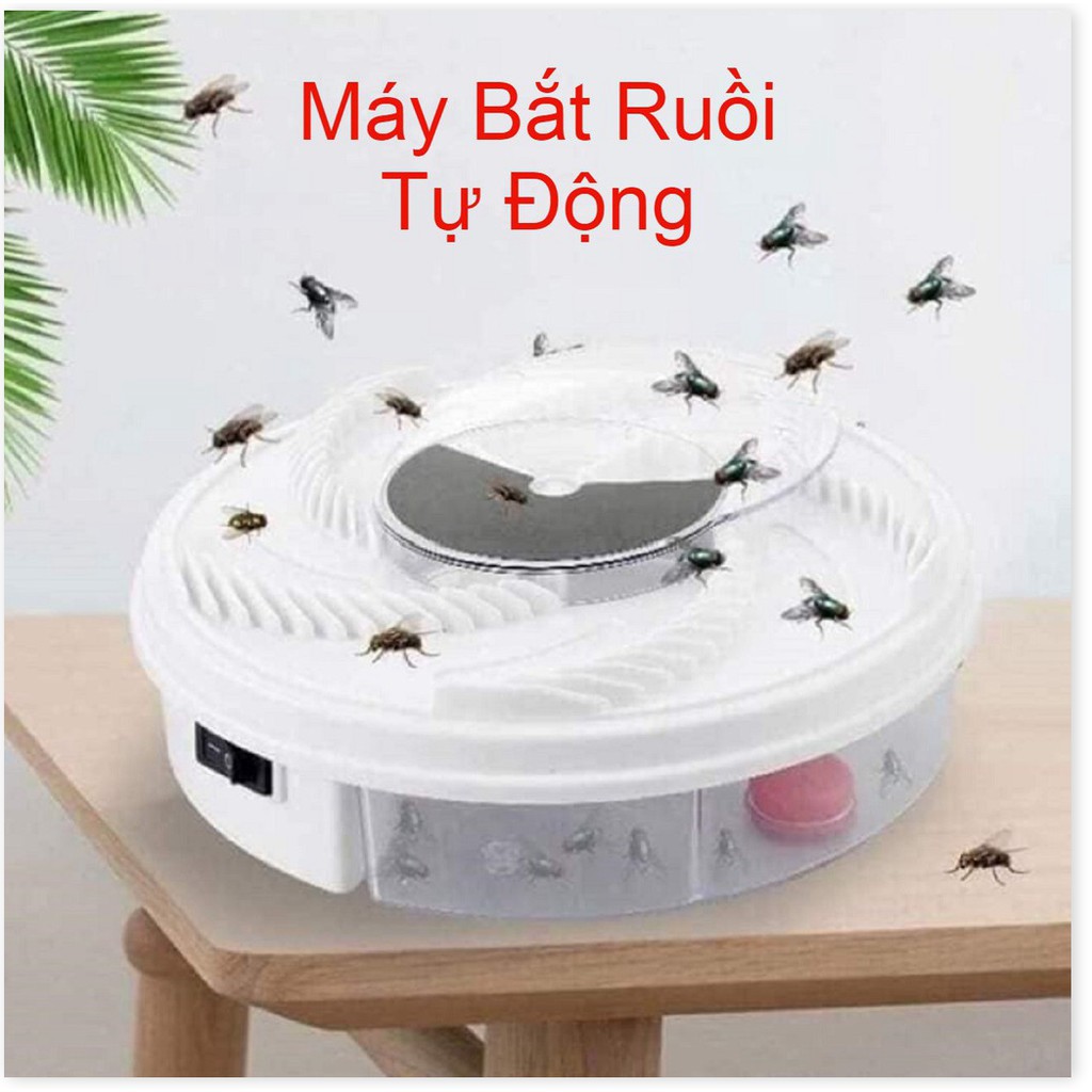 Máy Bắt Ruồi Tự Động 💖 𝑪𝑨𝑶 𝑪𝑨̂𝑷 💖 2020   - Bẫy Ruồi Thông Minh - BH 1 Tháng 1 đổi 1 - Phiên Bản Nâng Cấp Mới Nhất