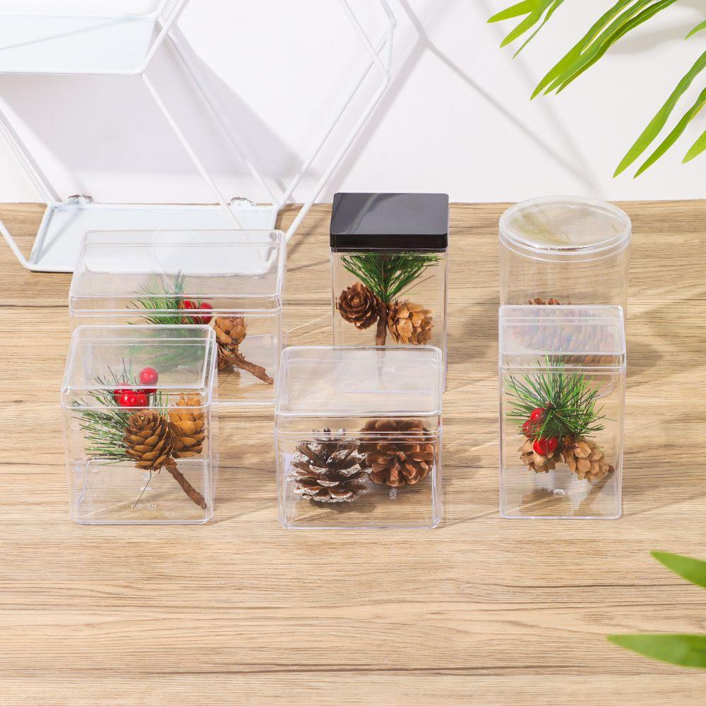 CLEVER Hộp Đựng Trưng Bày Búp Bê Trong Suốt Chống Bụi