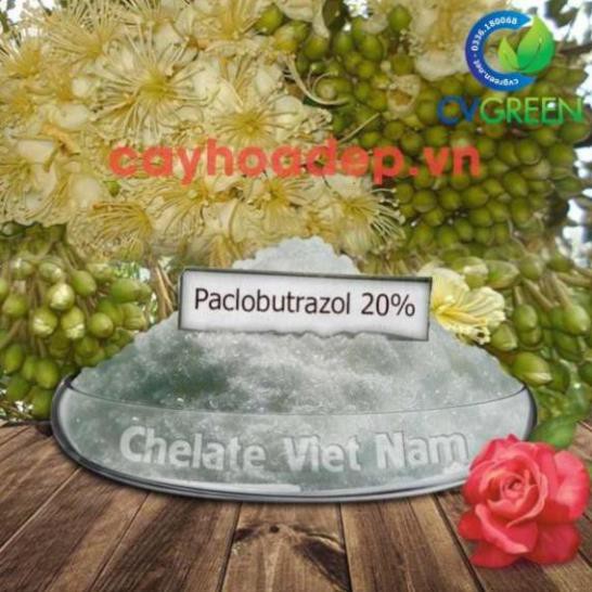 Paclobutrazol 20% WP (Ức chế sinh trưởng, kích thích ra hoa) gói 1kg