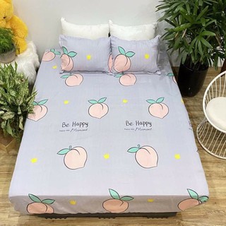BỘ GA COTTON POLY KÈM VỎ GỐI