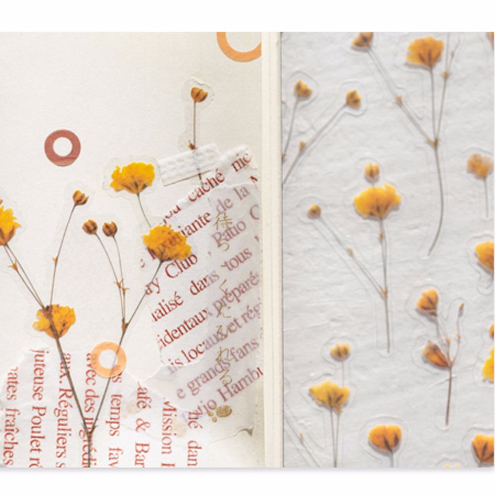 Miếng Dán Trong Suốt Hình Hoa Cúc Phong Cách Nhật Bản