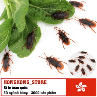 [ĐỒ CHƠI] Đồ chơi con gián độc đáo - Đồ chơi mô phỏng động vật cho bé