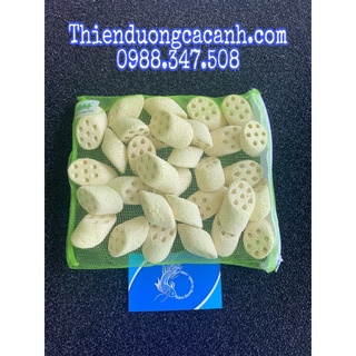 Sứ Lọc Củ Sen Cắt Lát ( Nitro Ring ll ) - Lẻ 1 Túi Khoảng 32 Viên