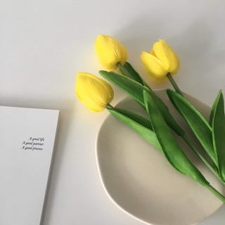 Hoa tulip - PHỤ KIỆN CHỤP Ảnh FLATLAY