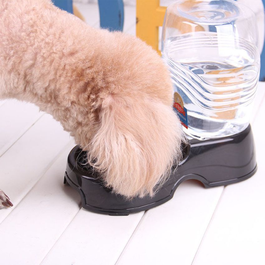 Bình nước tự động cho chó, cho mèo, cho pet Cưng Store CS18 ra nước uống tự động cho chó