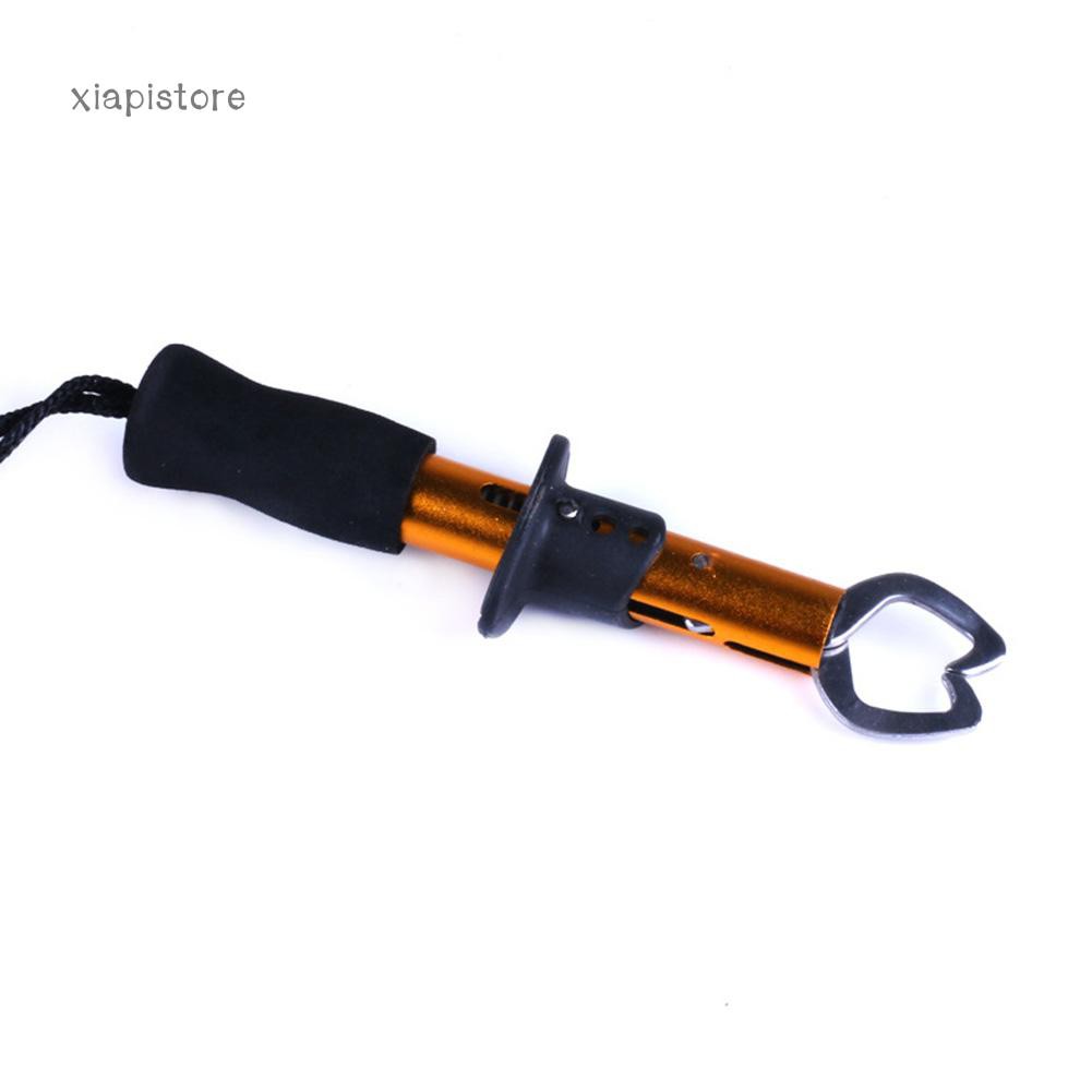 Dụng Cụ Kẹp Cá Mini 17Cm Bằng Thép Không Gỉ