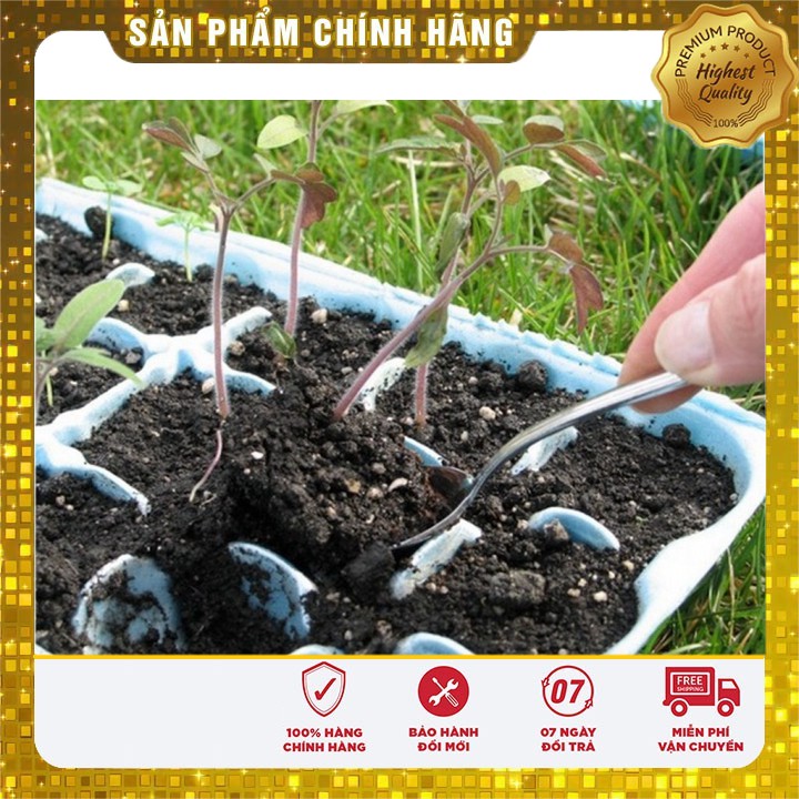 Hạt Giống Cà Chua Đen Qủa to năng suất ( gói 10 hạt)