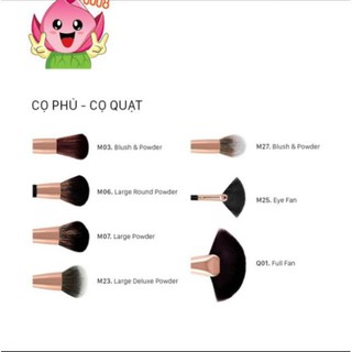 Cọ Phủ - Cọ quạt Vacosi