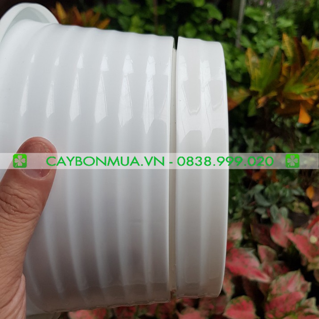 COMBO Chậu nhựa kèm đĩa xọc ngang cao câps